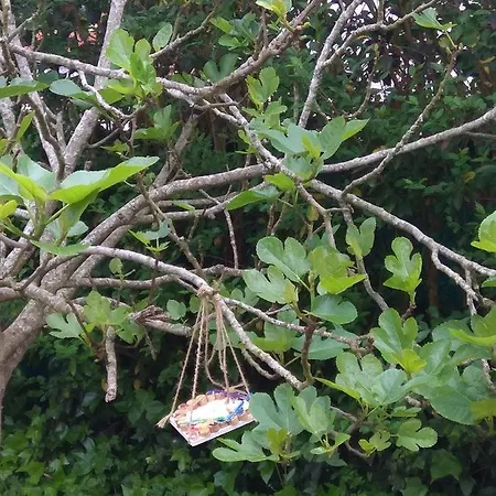 Apartment Casa Mira Mijedo Argoños